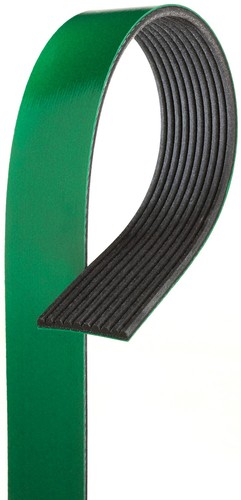BEL0665