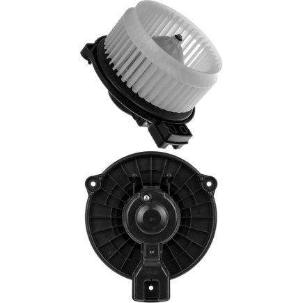 BLO439H